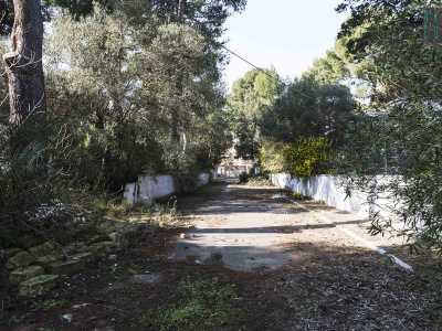 Giriamo a sinistra, cominciando a costeggiare il muro che a fatica contiene l'avanzare delle piante
